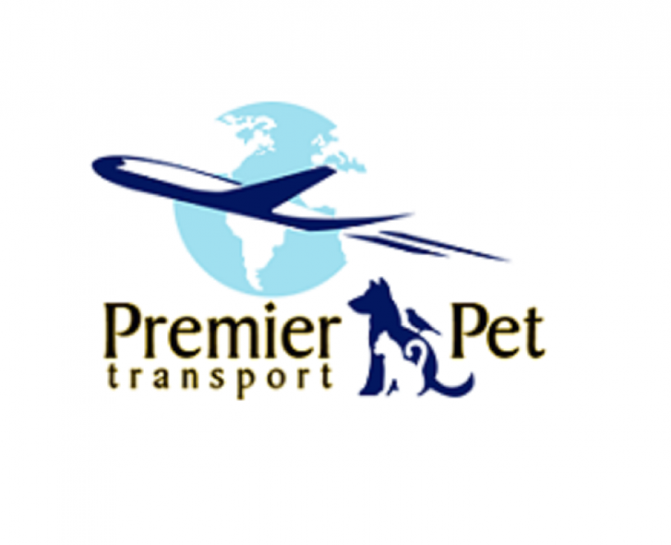 How To Start A Pet Transport Company