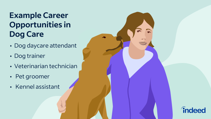 Veterinary Careers Offer Great-Opportunities