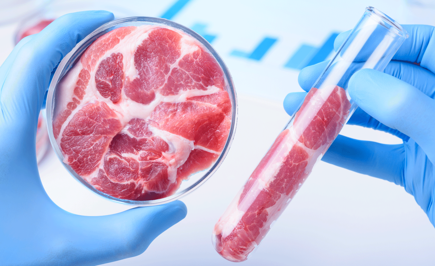 Are Meat Animal Practitioners Ready For Corporate Practice